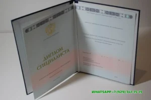 Купить диплом Набережночелнинского филиала КИУ им. В.Г. Тимирясова в Зеленограде